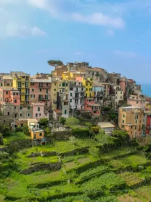 corniglia cinque terre